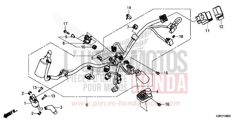 FAISCEAU DES FILS de CRF125F "Petites Roues" EXTREME RED (R292) 2024